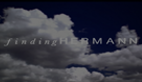 Finding Hermann
